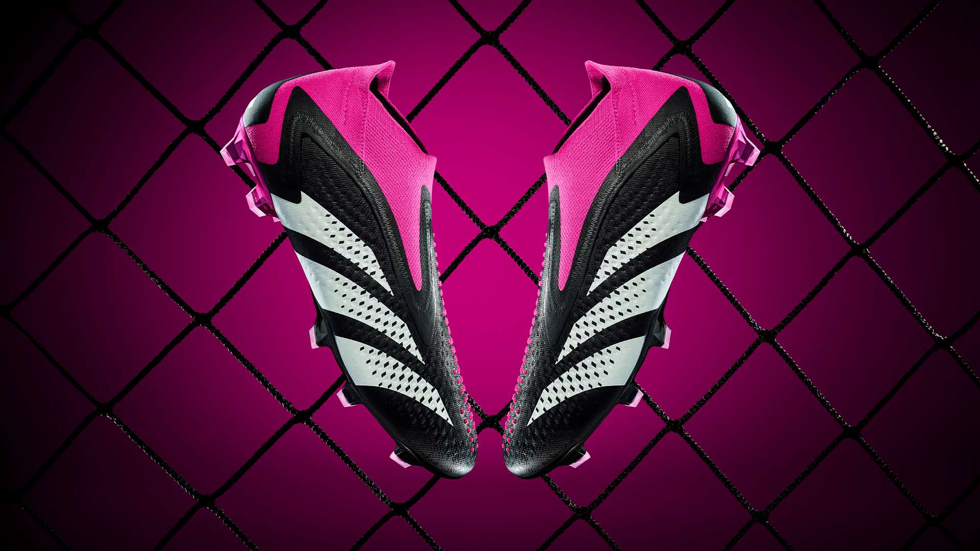 归无疑为意 归无疑为意