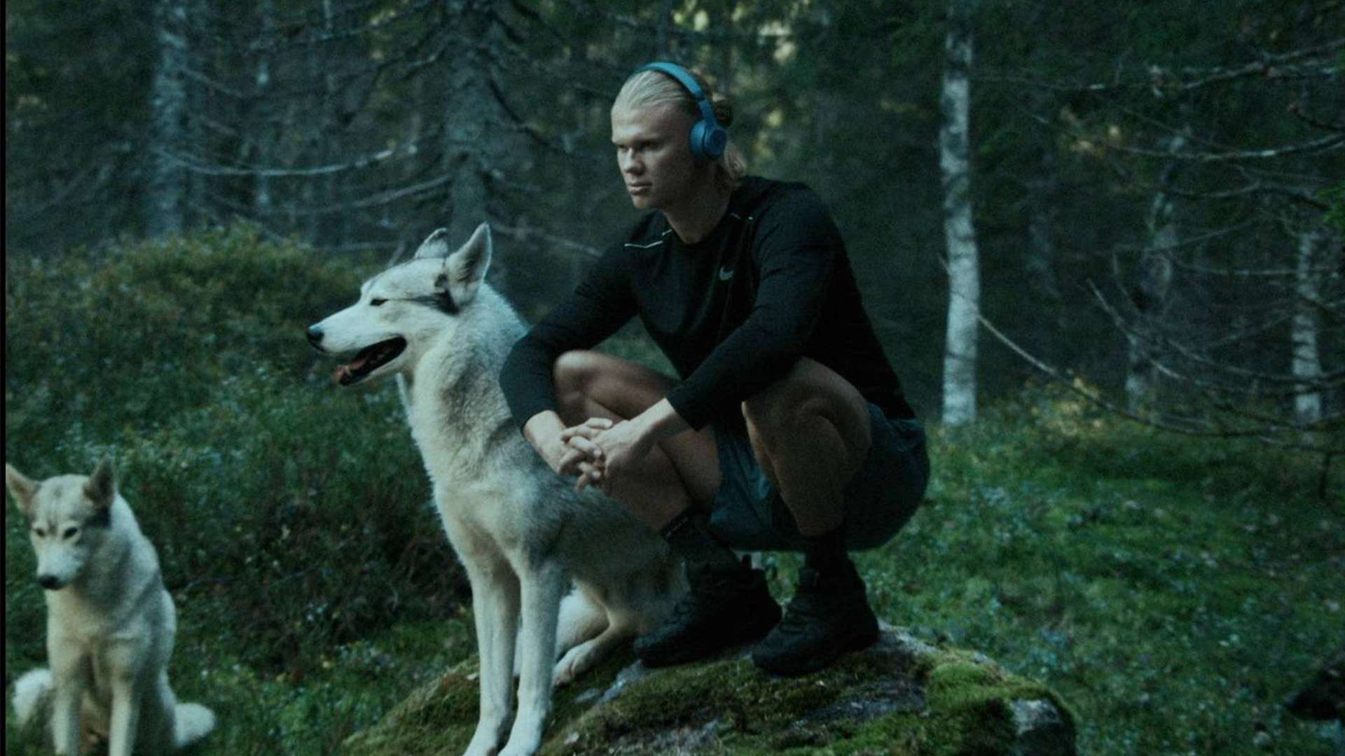 赛季对于勇 赛季对于勇