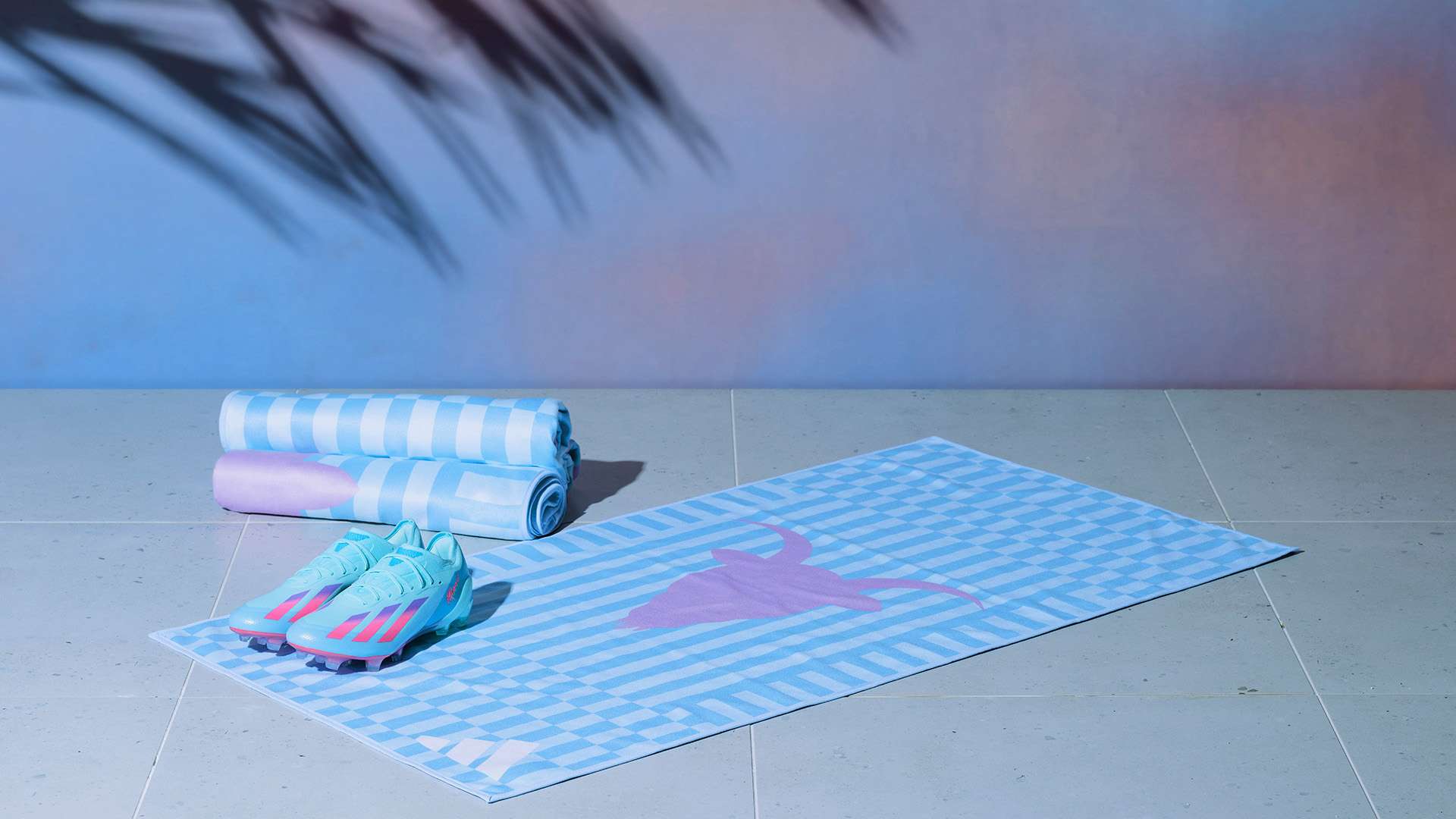 层和教练组 层和教练组