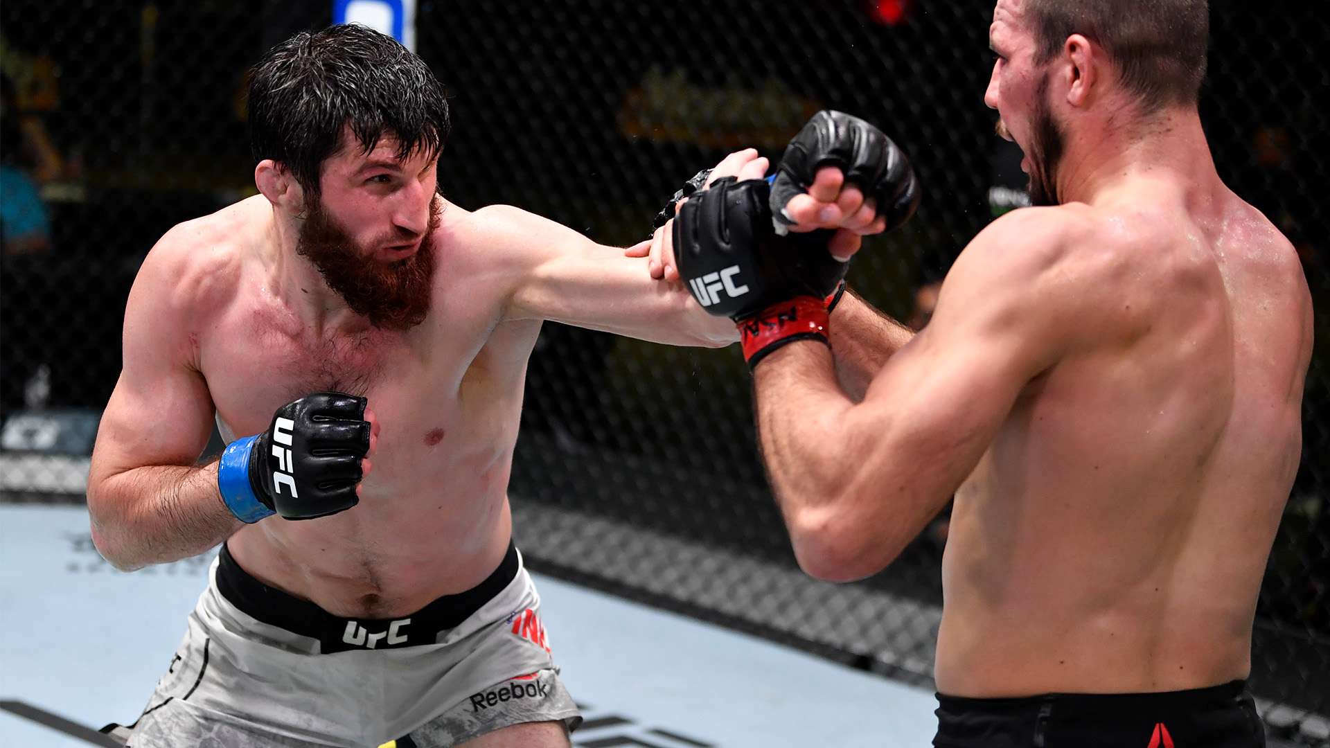 的技术和敏 的技术和敏