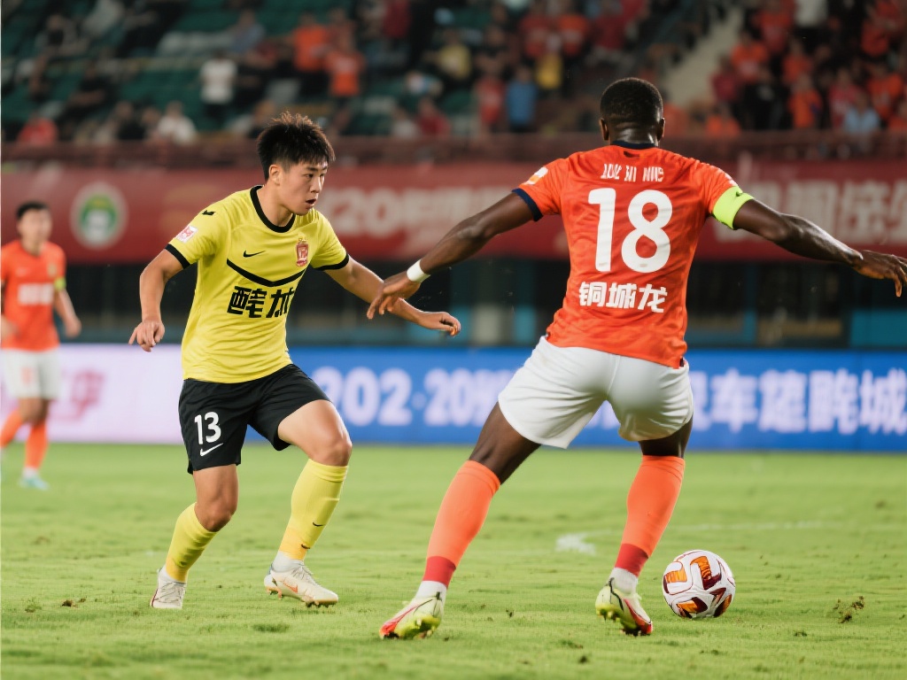 换帅的背后 换帅的背后